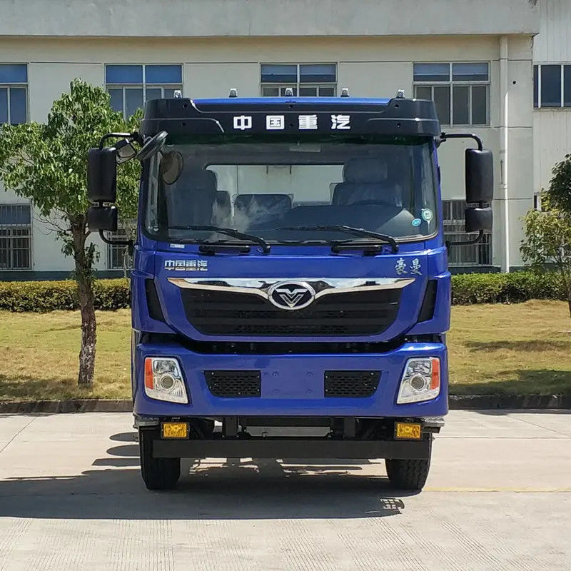 12 Wheels Diesel Engine LHD RHD 8*4/6*4 Dump Truck para Transporte de Infraestrutura