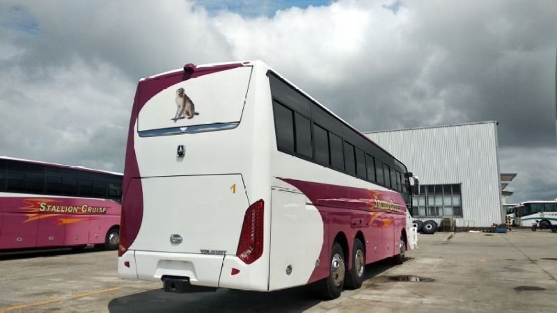 55 lugares LHD Drive Tipo de autocarros de luxo para ônibus da cidade Melhor escolha