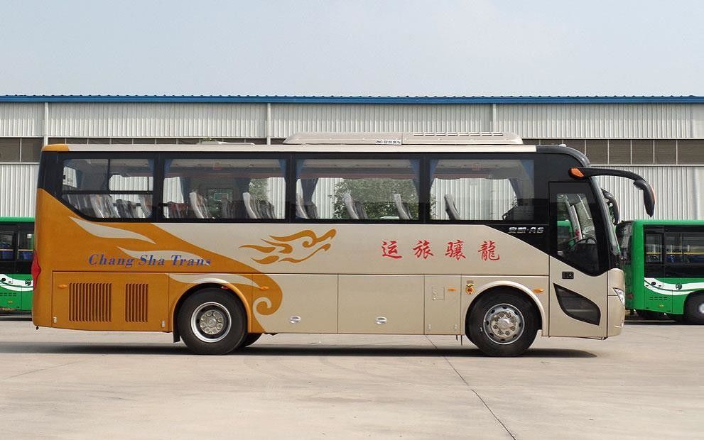 Ônibus de autocarro de 10 m com direção esquerda com design colorido e interior de luxo