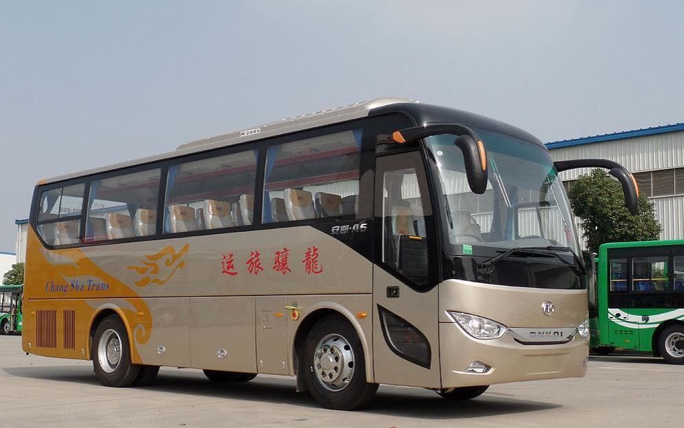 Ônibus de autocarro de 10 m com direção esquerda com design colorido e interior de luxo