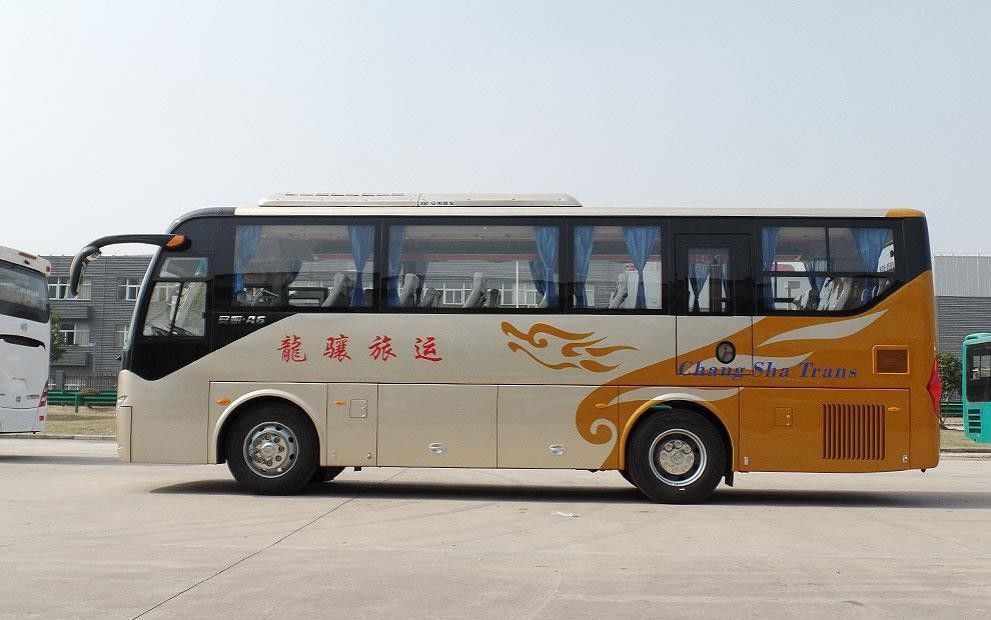 Ônibus de autocarro de 10 m com direção esquerda com design colorido e interior de luxo